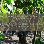 Hotel Chateau Leognan, Domaine Viticole - Proche Bordeaux 5*