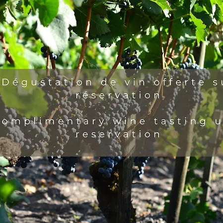 فندق Chateau Leognan, Domaine Viticole - Proche Bordeaux 5*