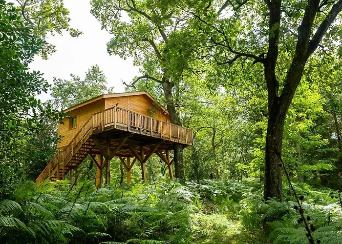 Chateau Leognan, Domaine Viticole - Proche Bordeaux