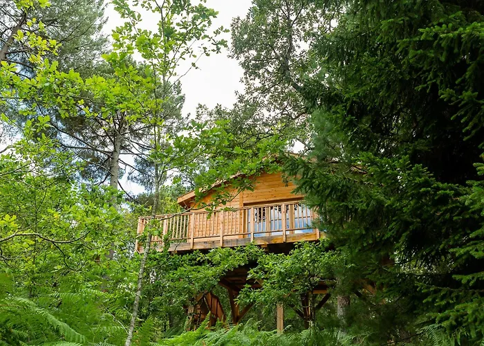 Chateau Leognan, Domaine Viticole - Proche Bordeaux Hotel