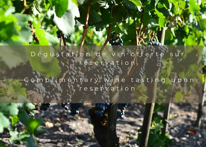 Отель Chateau Leognan, Domaine Viticole - Proche Bordeaux 5*