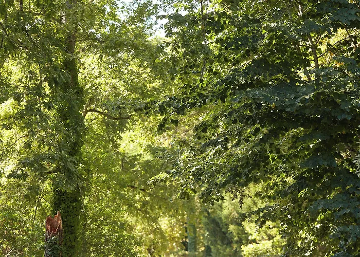 Chateau Leognan, Domaine Viticole - Proche Bordeaux Hotel